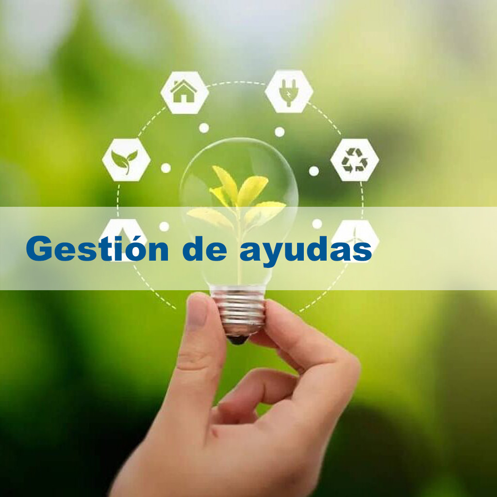 servicio gestion de ayudas y subvenciones públicas